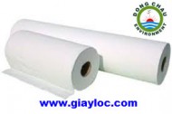 MGPT Filter paper
